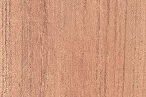 Jatoba